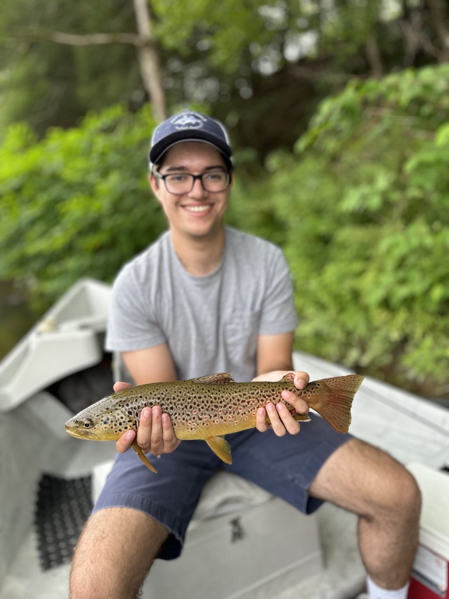 west branch delaware river trout