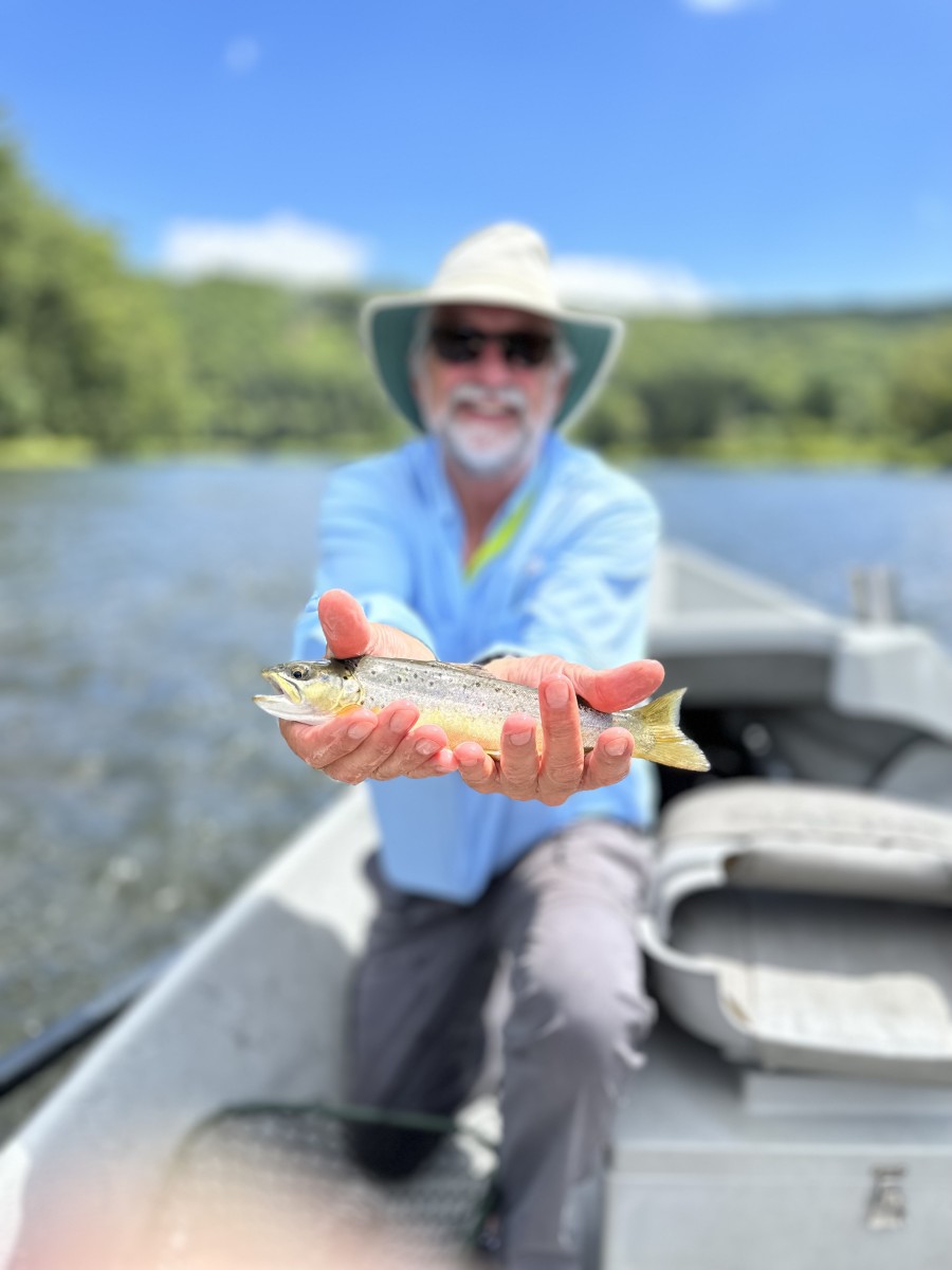 fly fishing upper delaware river