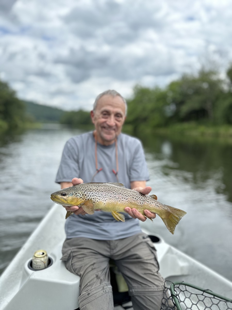 fly fishing west branch delaware river trout