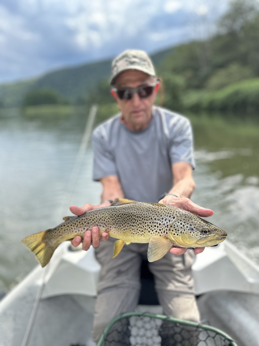 delaware river brown trout fishing guide jesse filingo