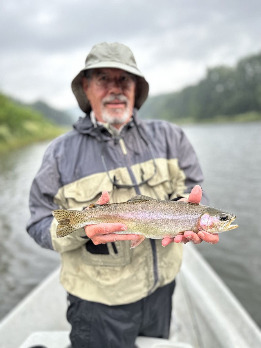 west branch Delaware river fly fishing new york