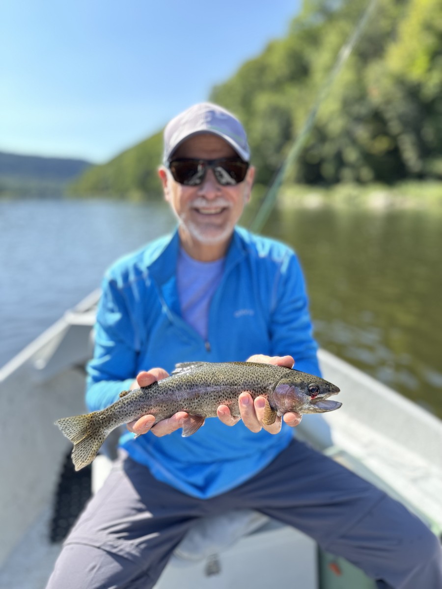 upper delaware river rainbow trout fly fishing delaware river trout