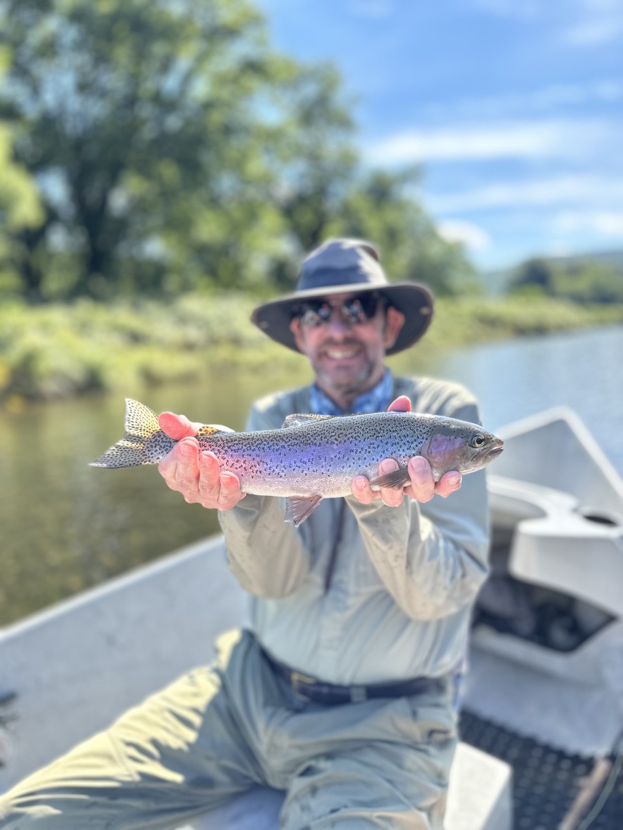 fly fishing the upper delaware river trout