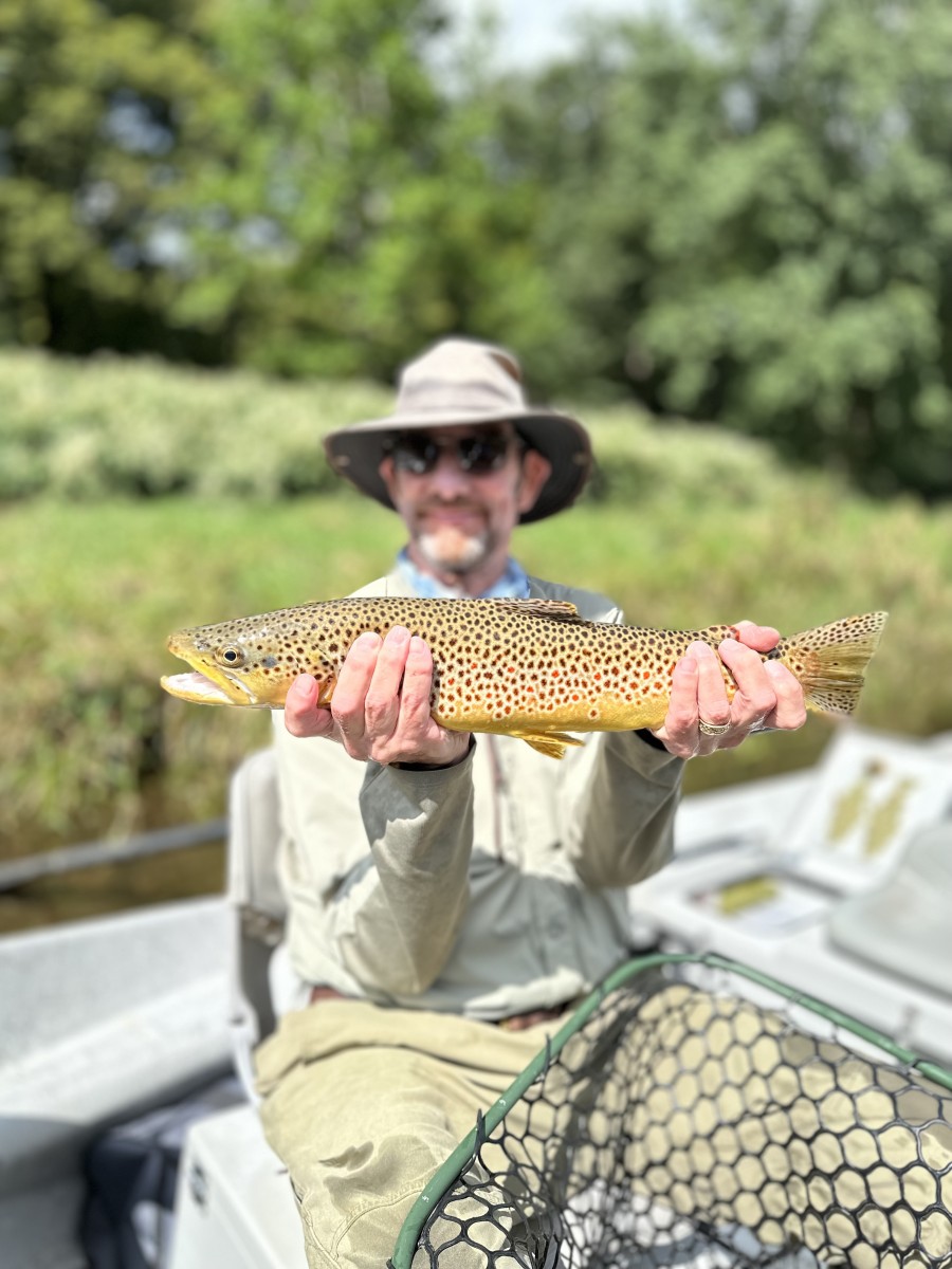 upper delaware river fly fishing guide jesse filingo delaware river trout