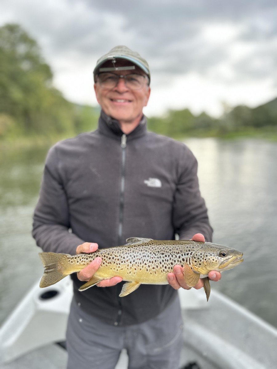 fly fishing west branch delaware river trout