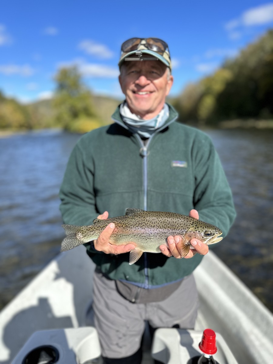 upper delaware river fly fishing guide