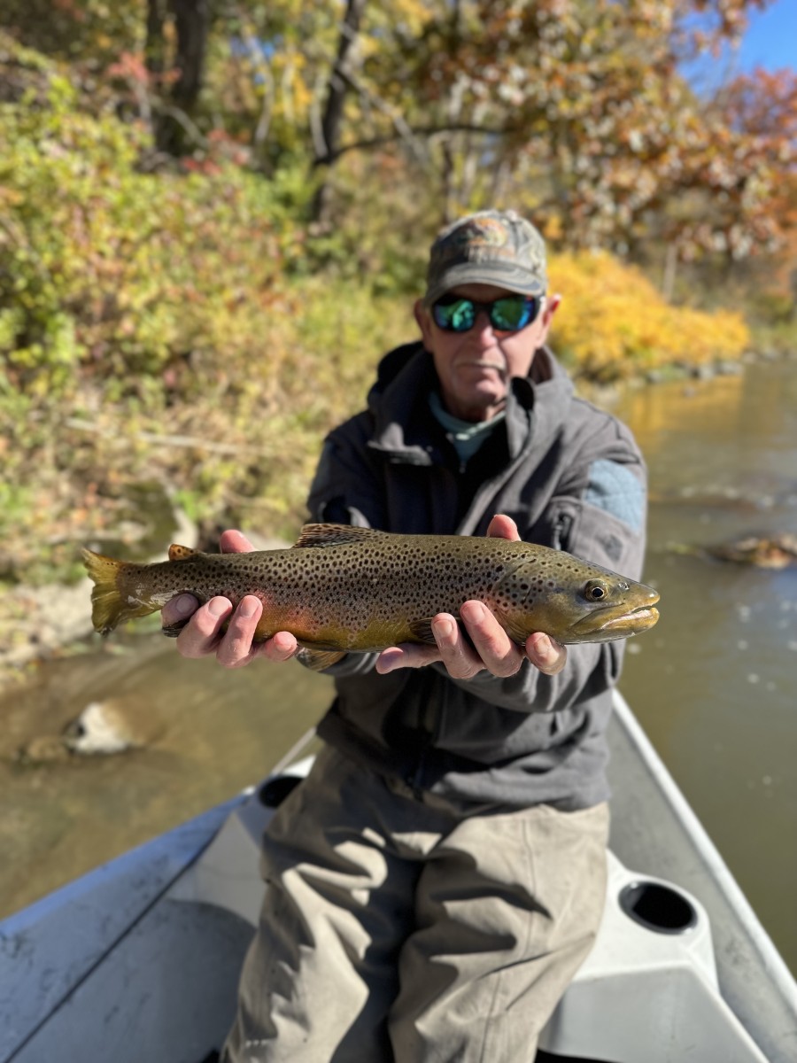 west branch delaware river fly fishing guide