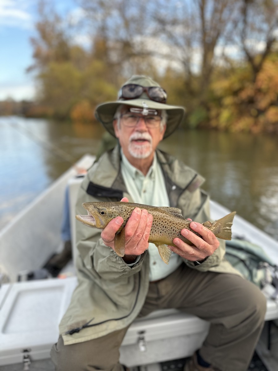 west branch delaware river fly fishing