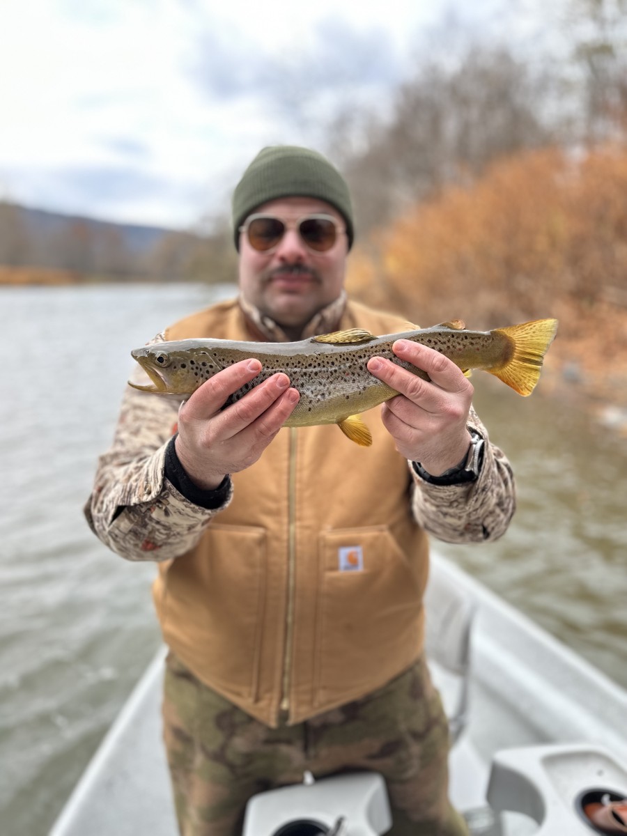 fly fishing upper delaware river trout