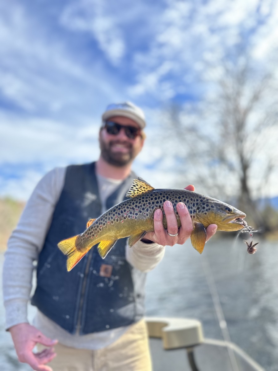 fly fishing upper delaware river wild trout