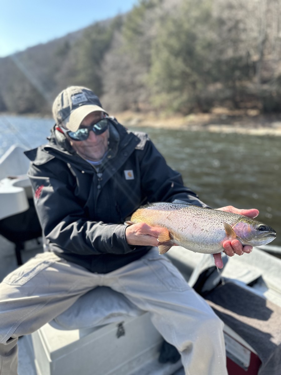 fly fishing the upper delaware river for rainbow trout