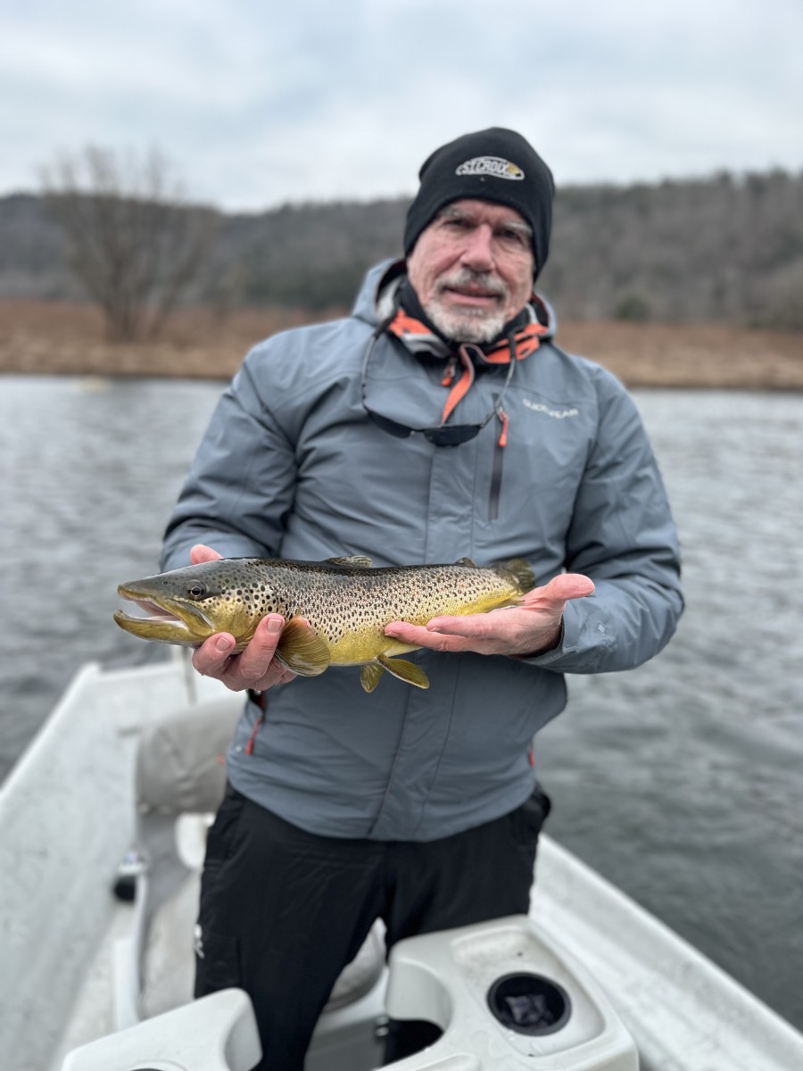 fly fishing upper delaware river for wild trout