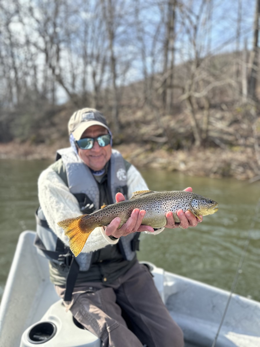 fly fishing guide west branch delaware river