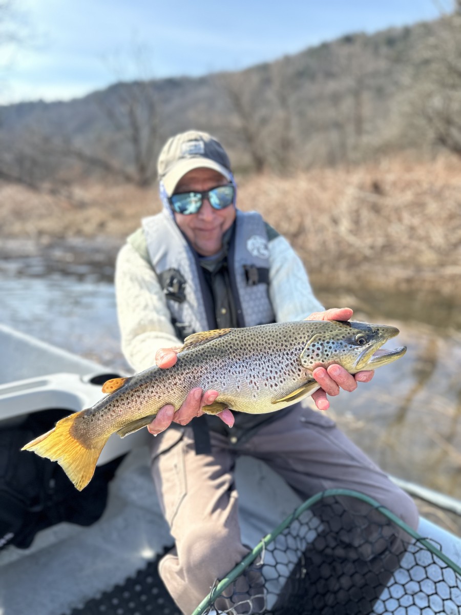 west branch delaware river fly fishing guide