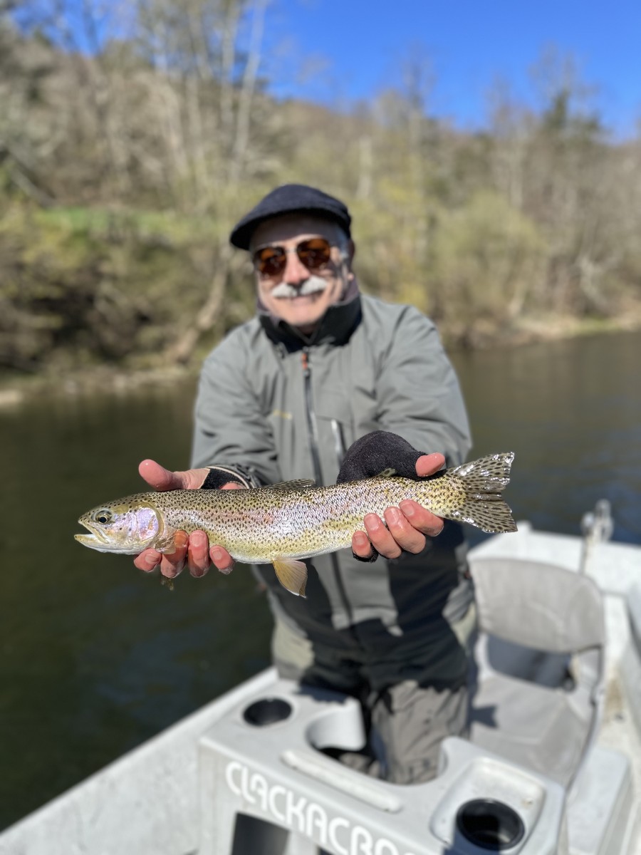 west branch delaware river fly fishing