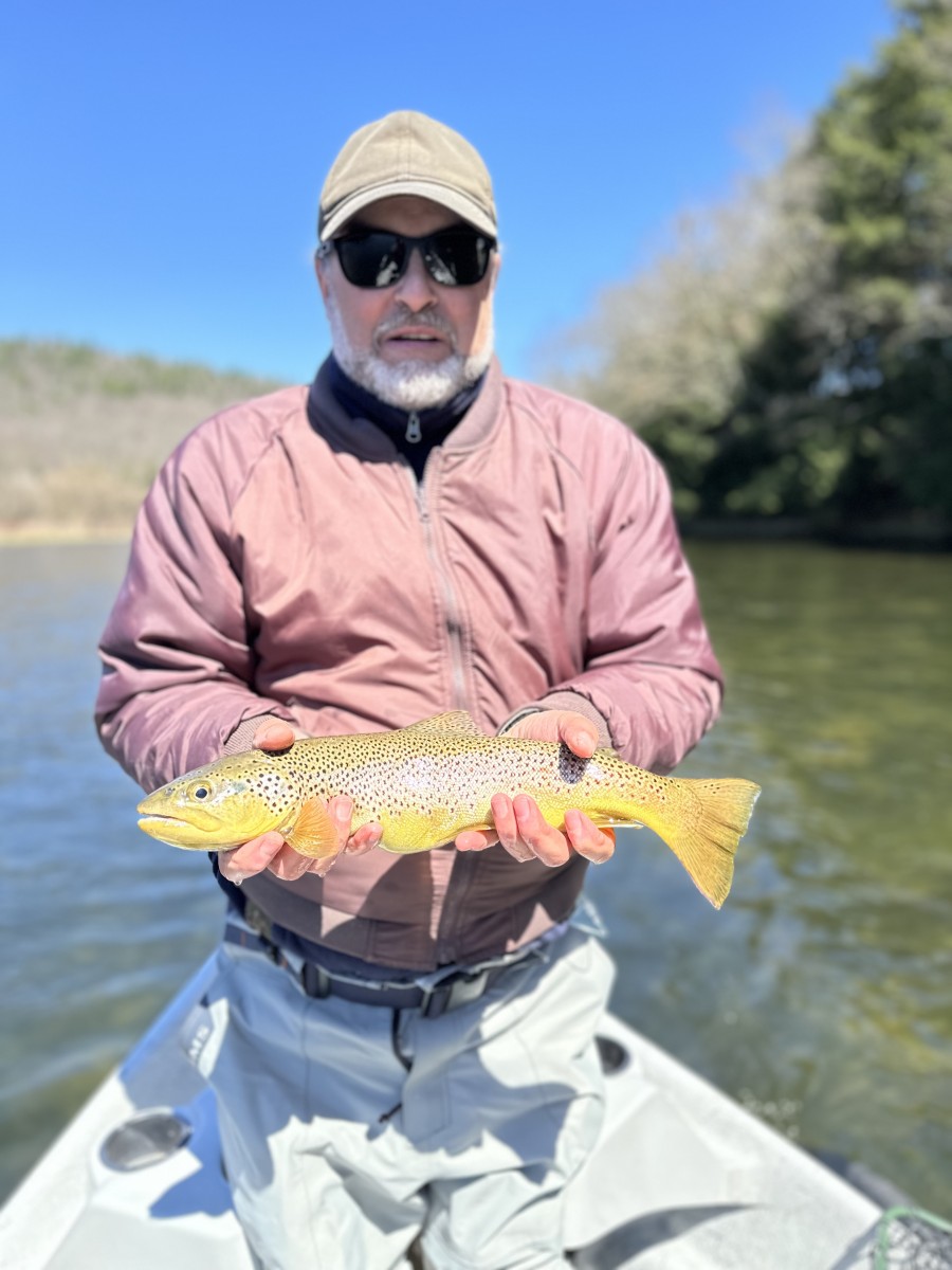 west branch delaware river trout