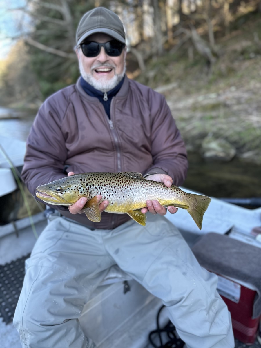 west branch delaware river trout guide