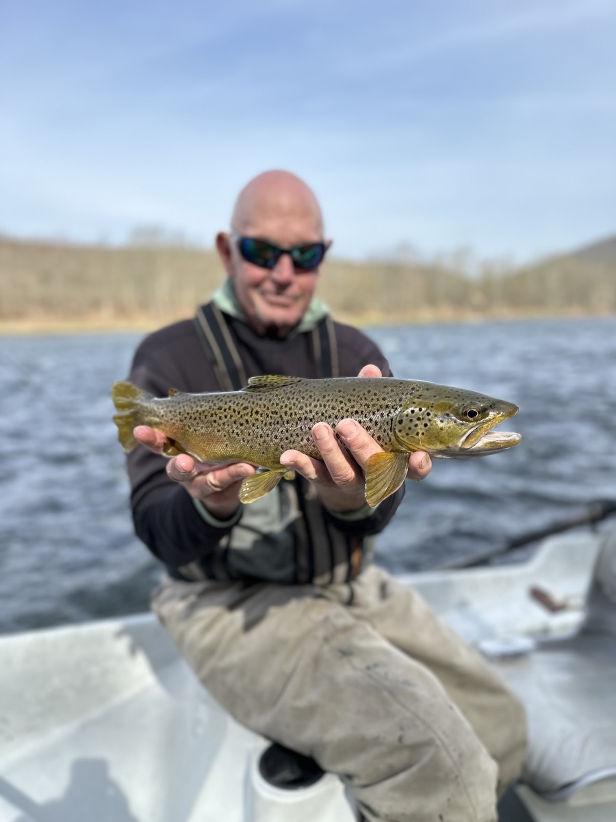 upper delaware river fly fishing