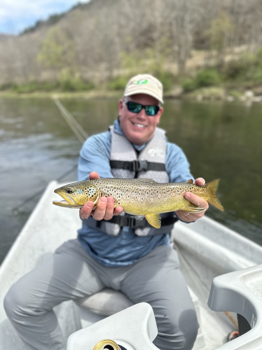 upper delaware river trout guide