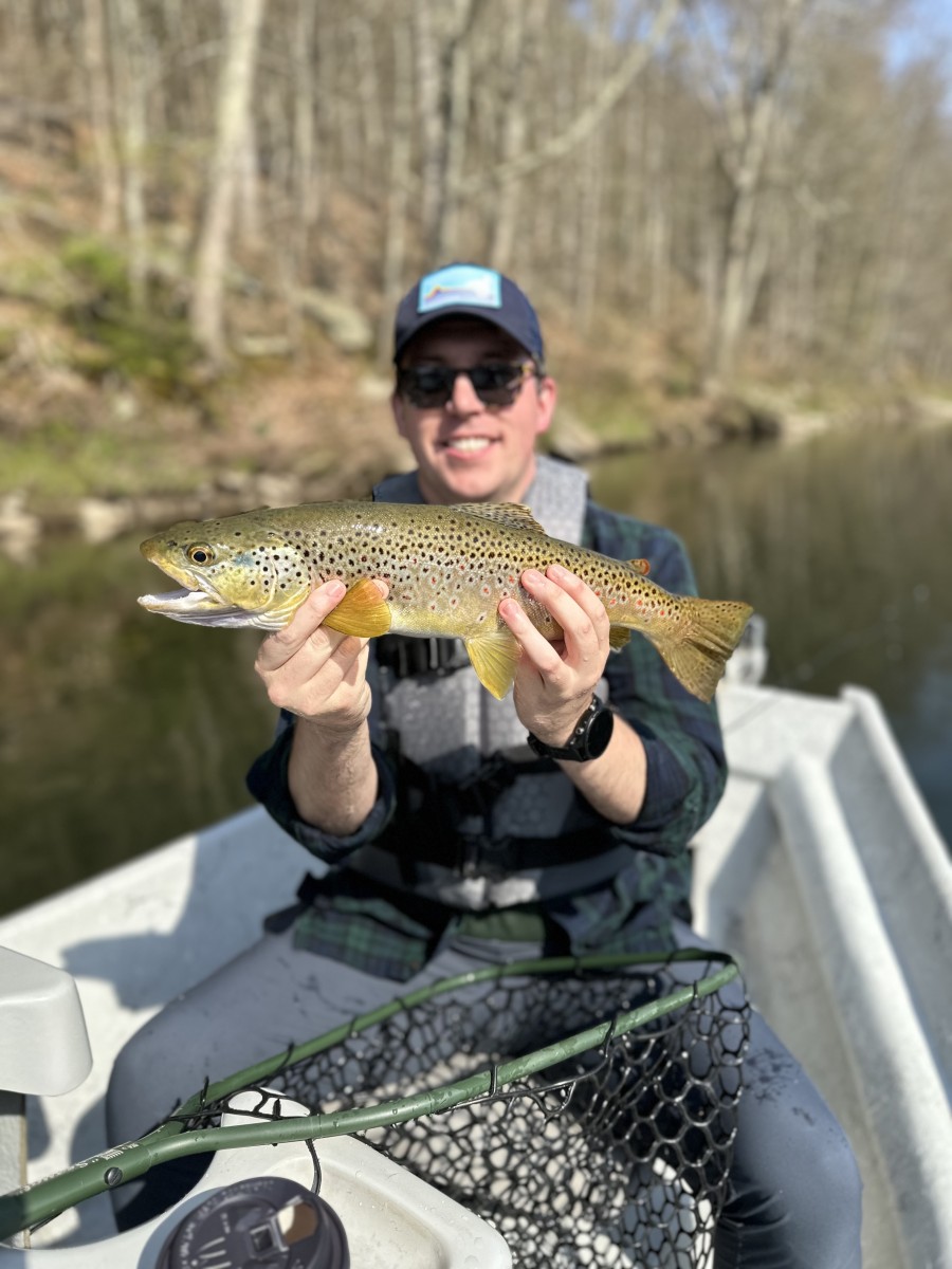 upper delaware river fly fishing guide