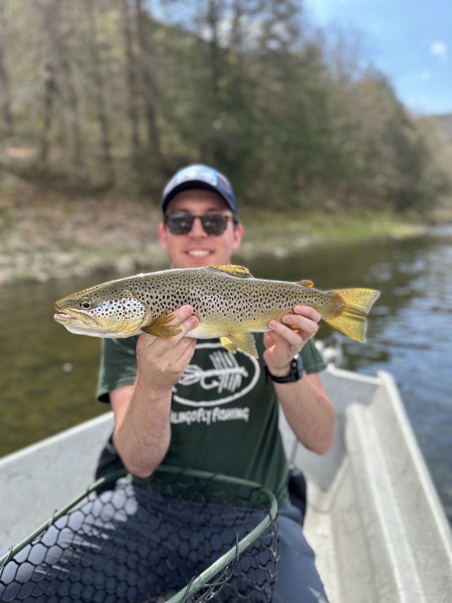 upper delaware river fly fishing