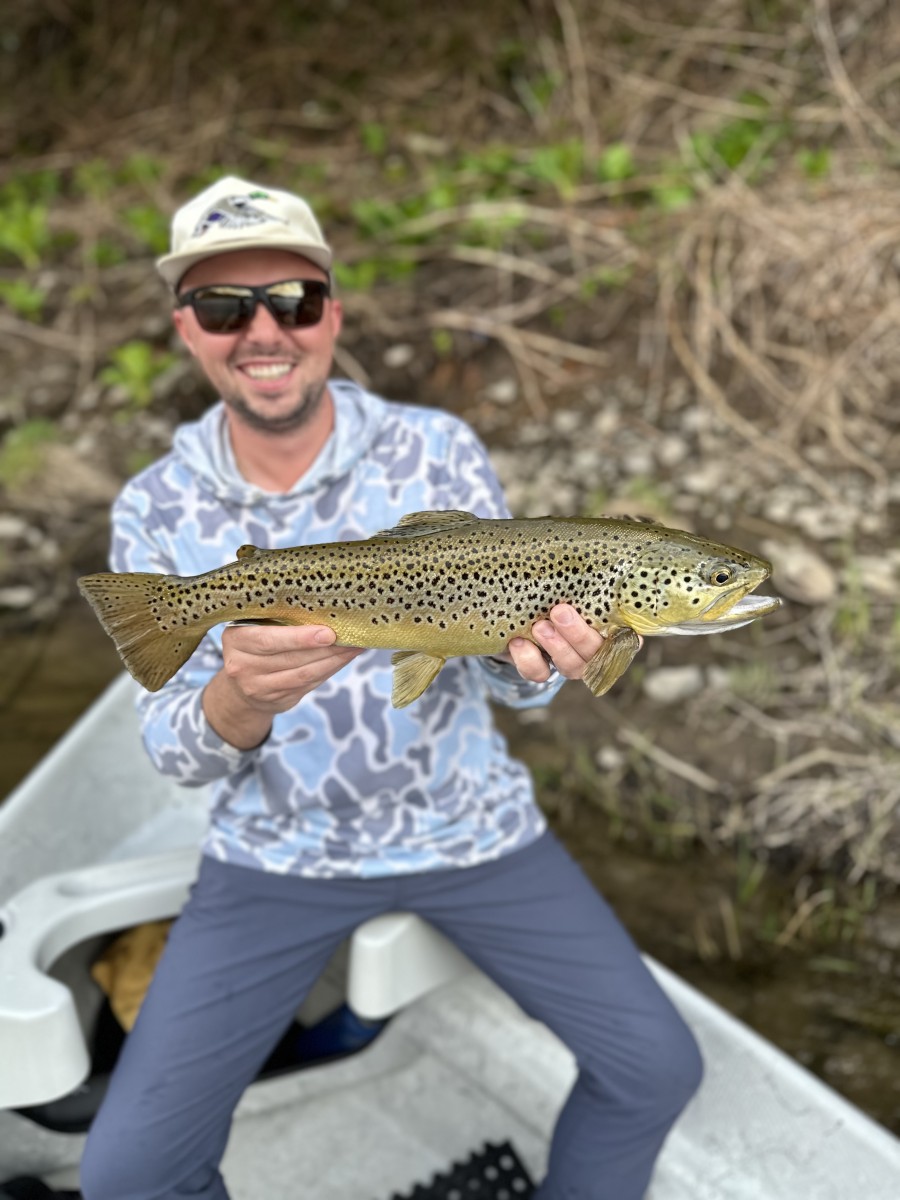 west branch delaware river trout guide