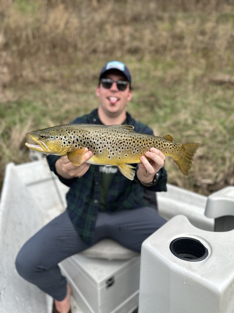 west branch delaware river fly fishing trout