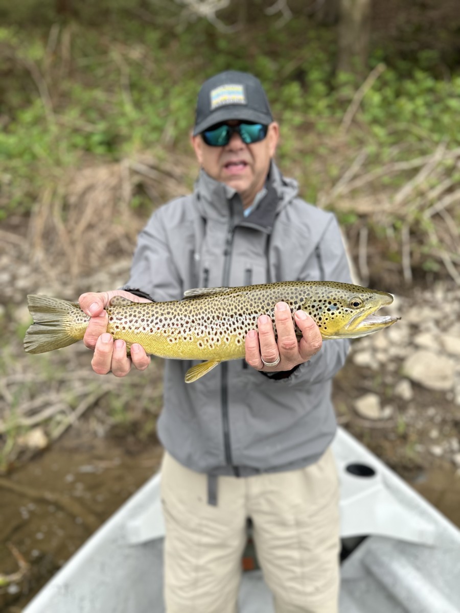 upper delaware river trout fly fishing guide