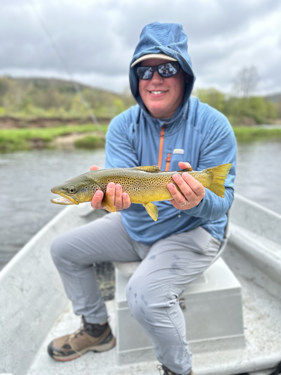 west branch delaware river fly fishing