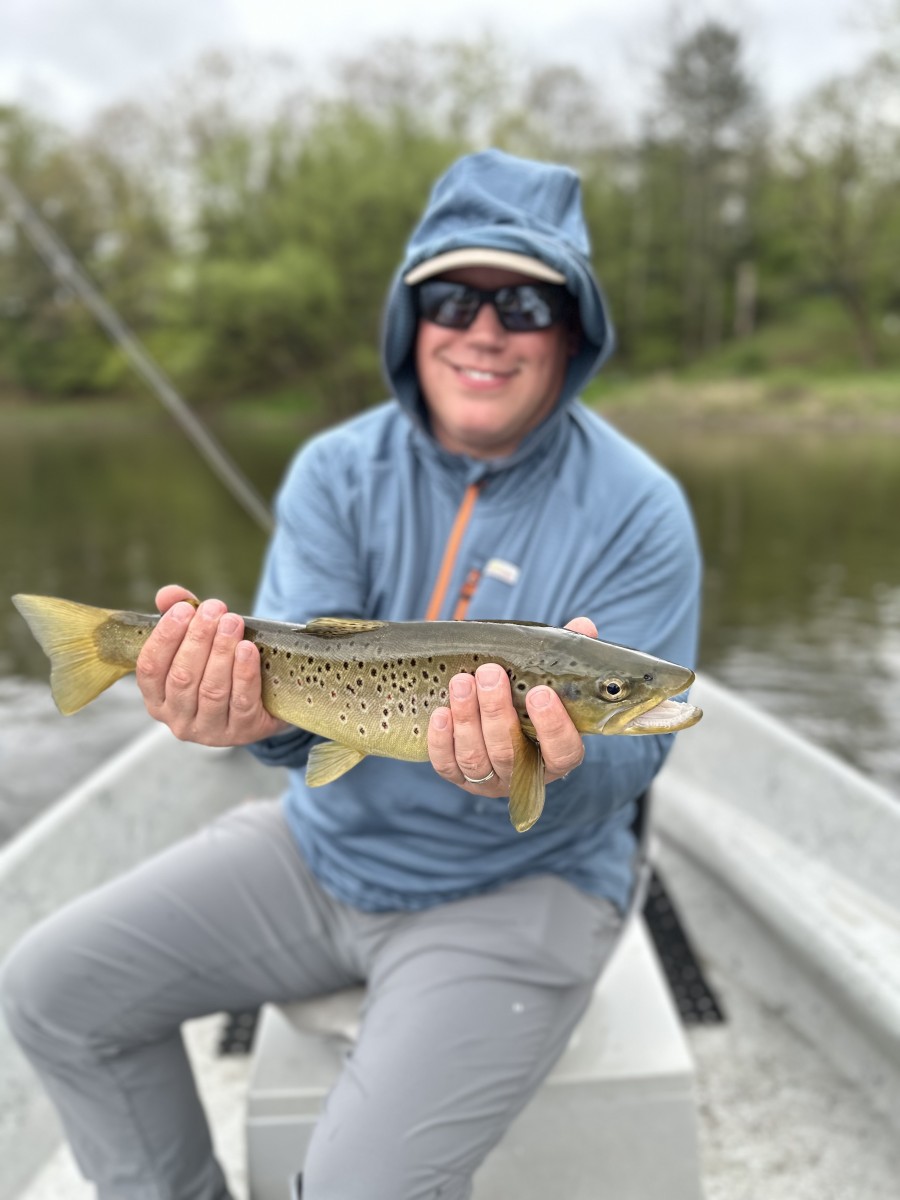 west branch delaware river trout