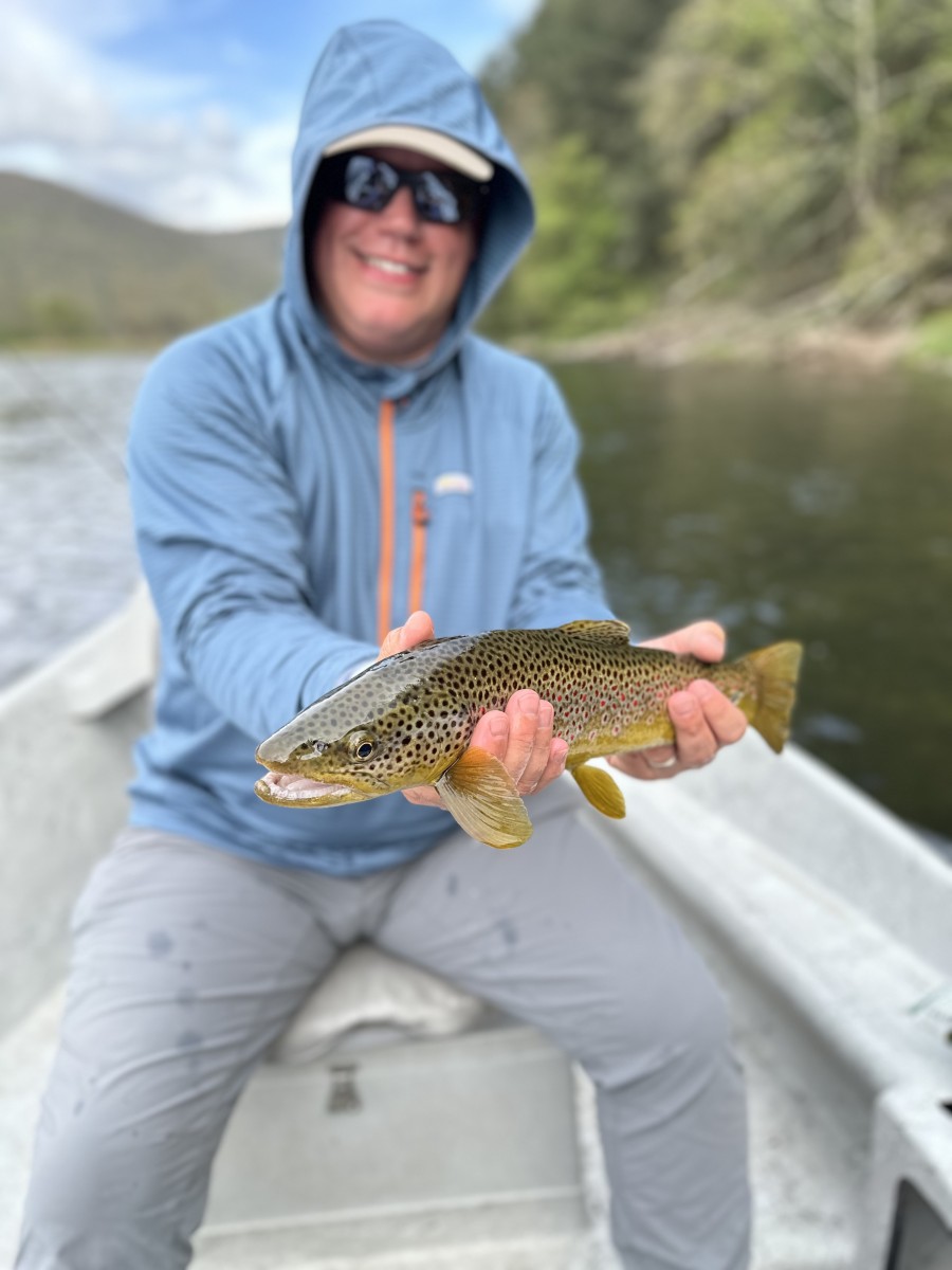 west branch delaware river fly fishing