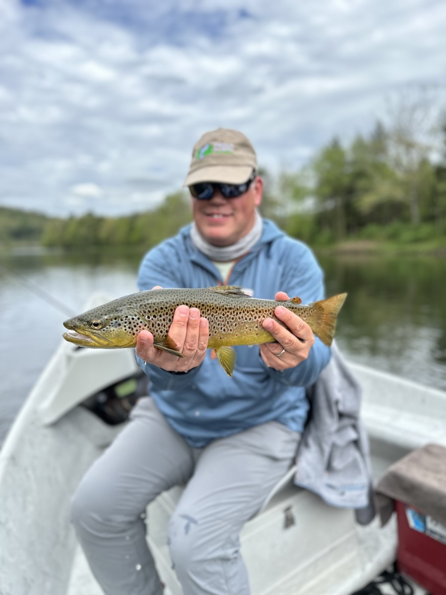 west branch delaware river trout guide