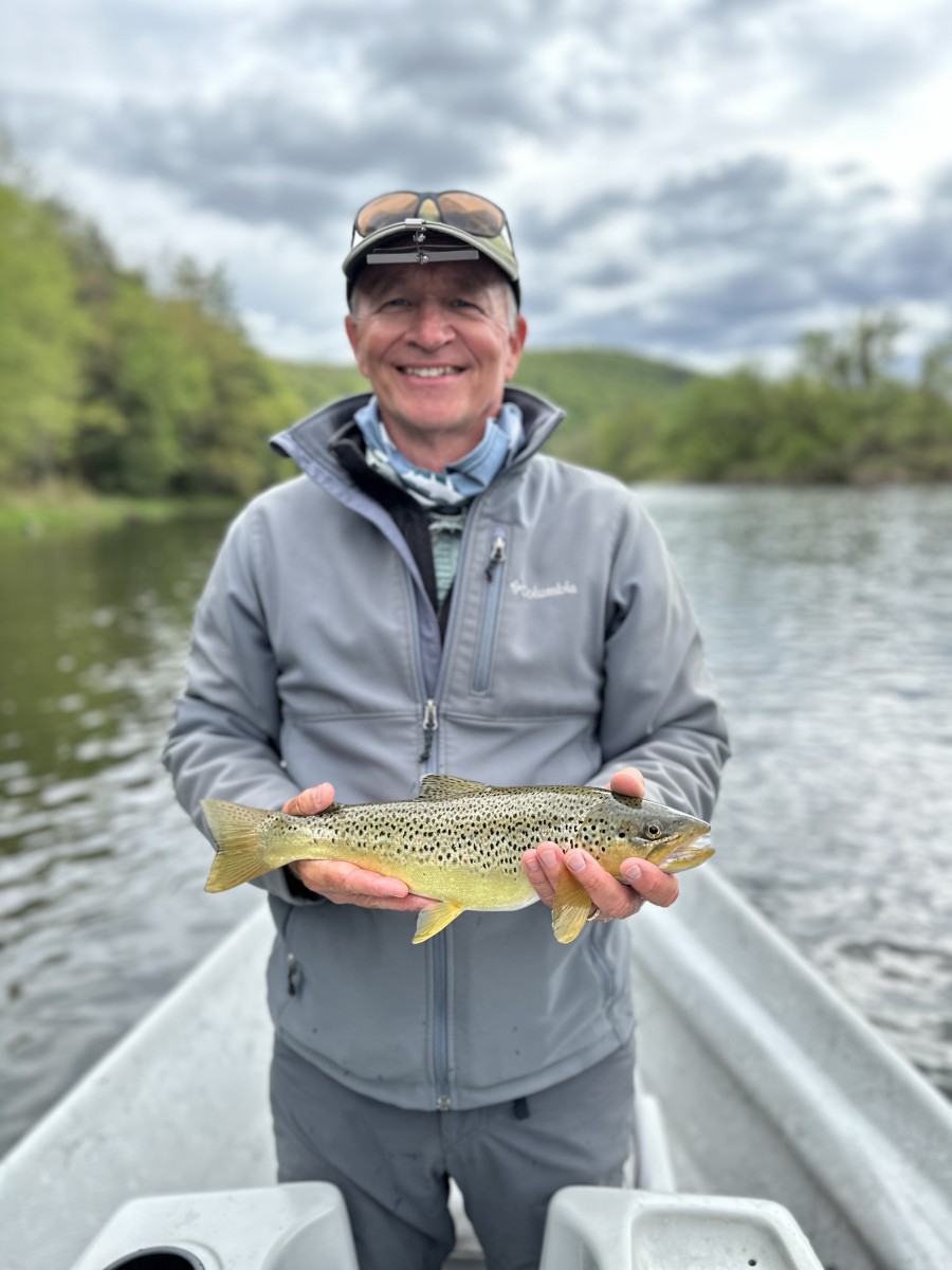 west branch delaware river trout