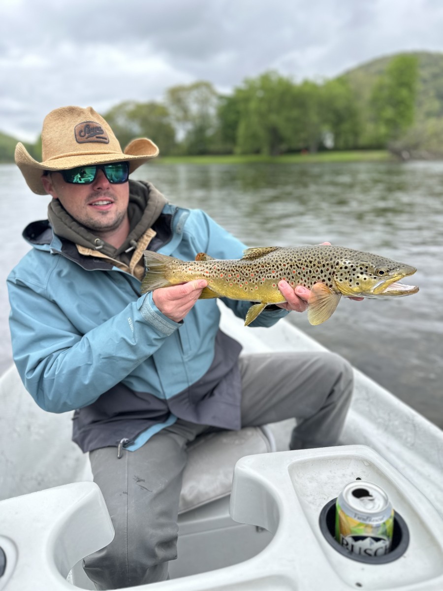 upper delaware river fly fishing guide