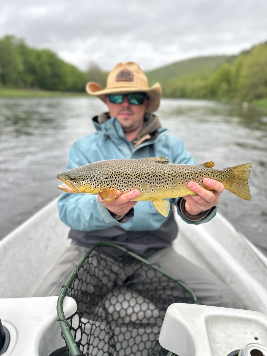 upper delaware river fly fishing