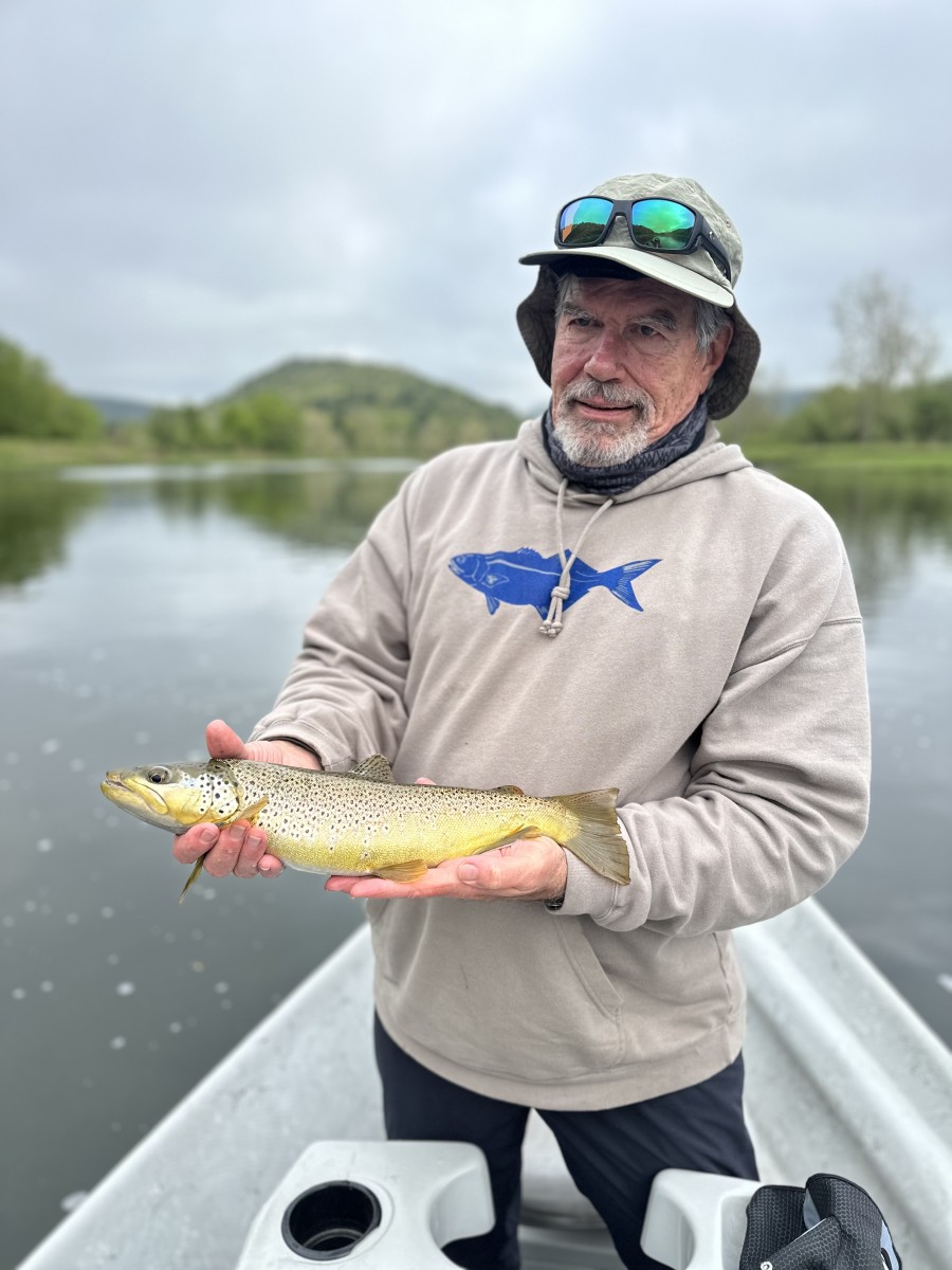 upper delaware river fly fishing trout guide