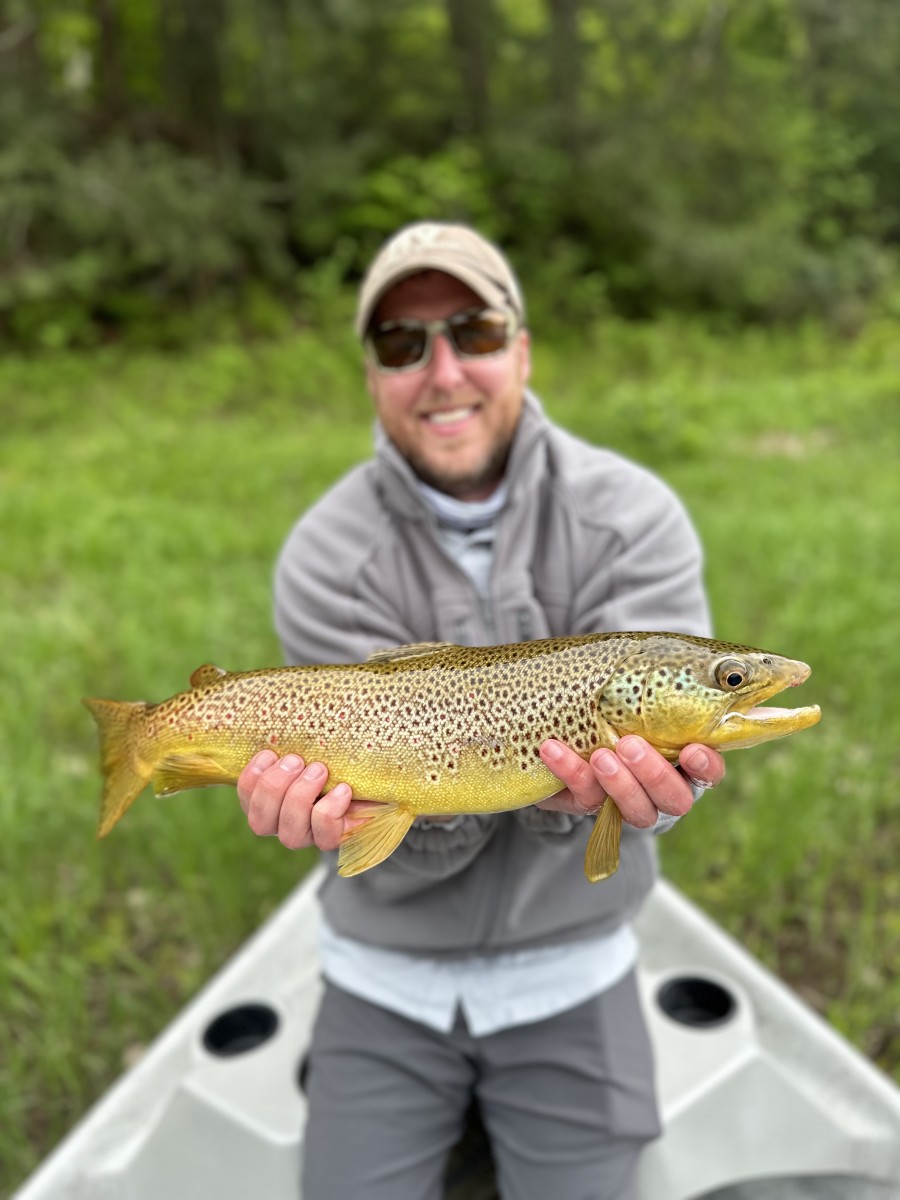 upper delaware river fly fishing guide