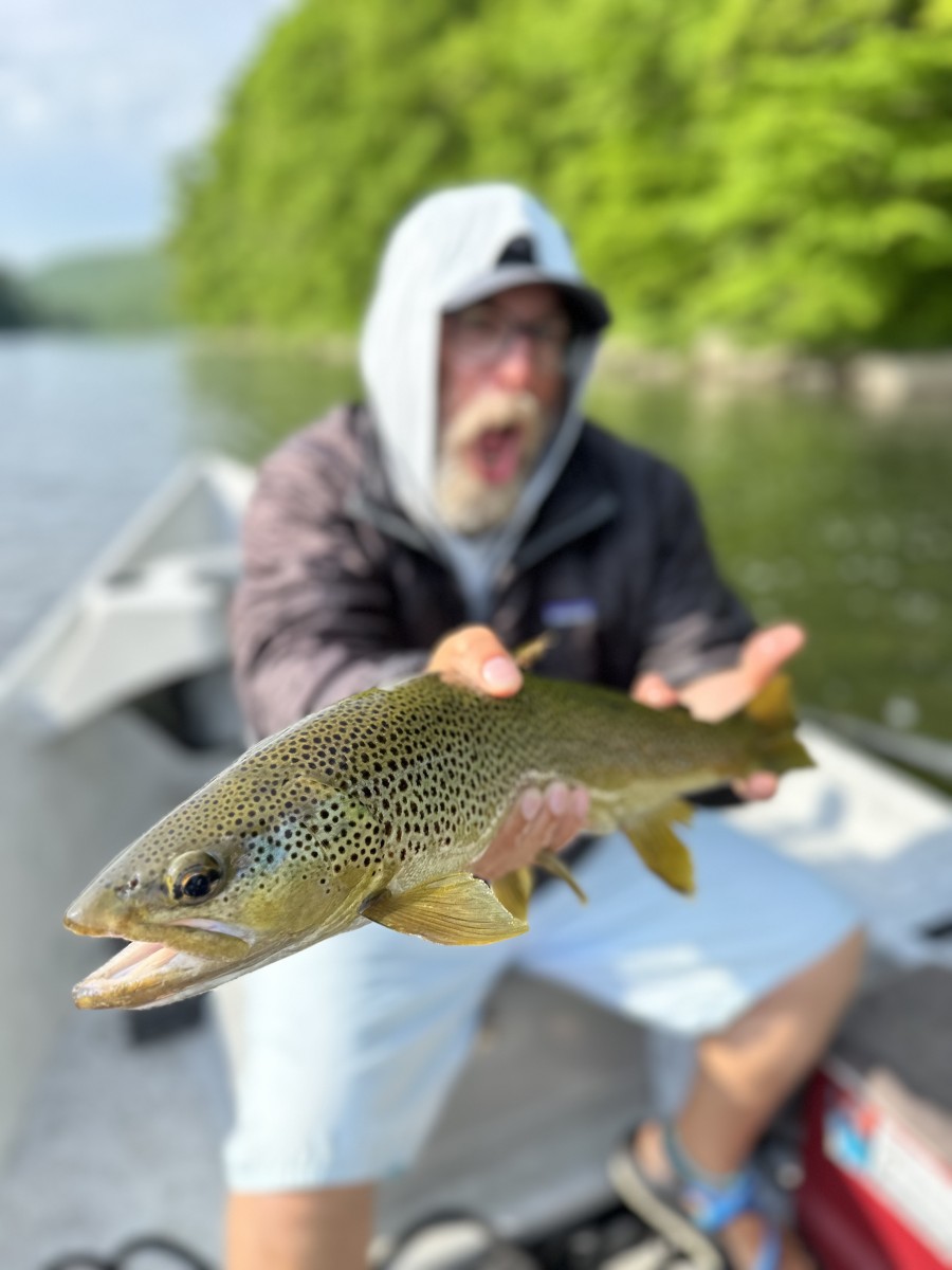 upper delaware river fly fishing