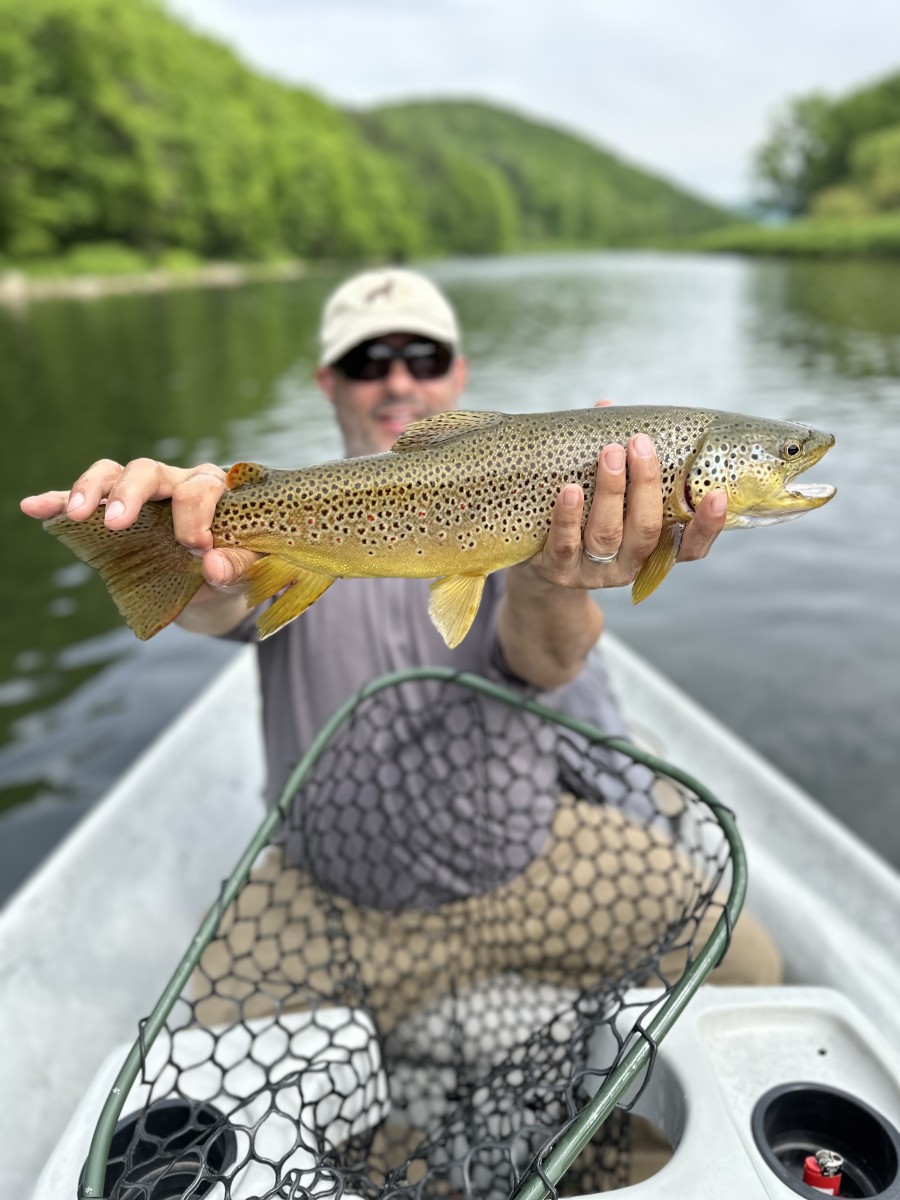 upper delaware river fly fishing guide jesse filingo