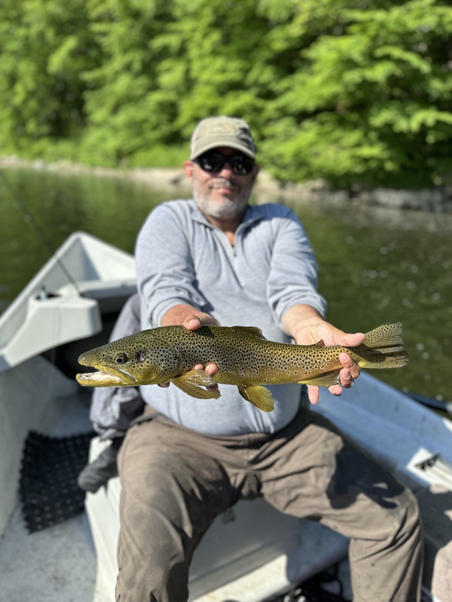 upper delaware river fly fishing guide