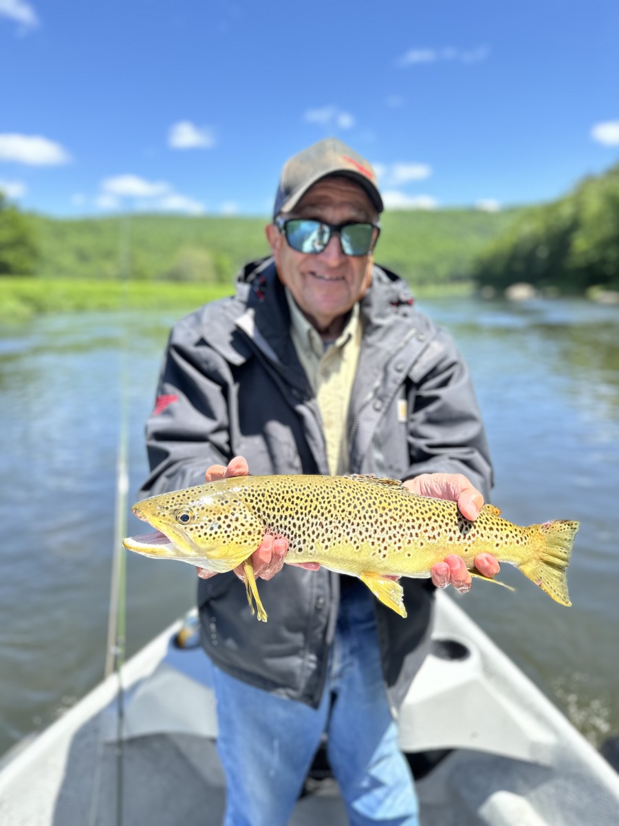 upper delaware river fly fishing