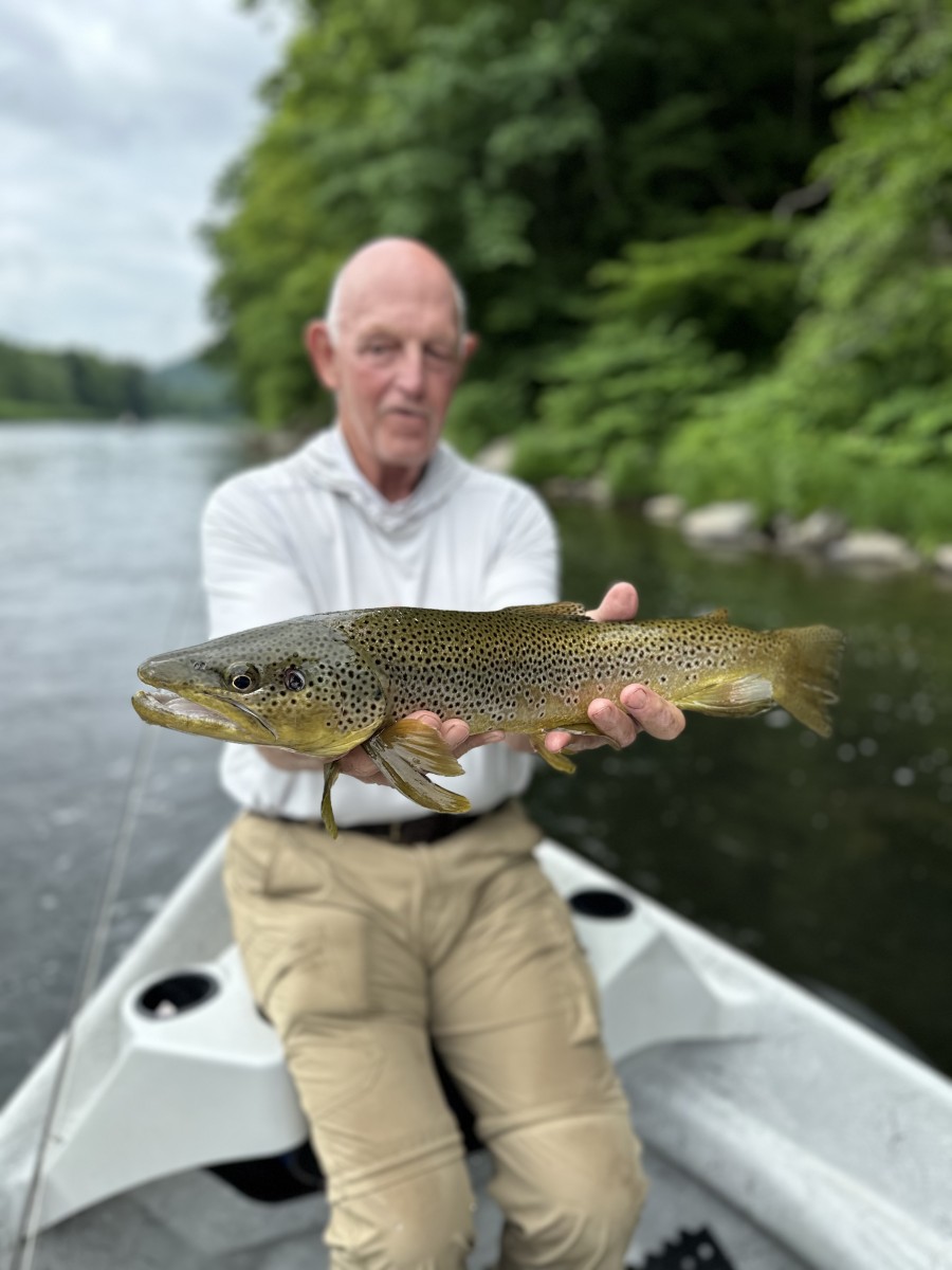 guided fly fishing upper delaware river trout fishing