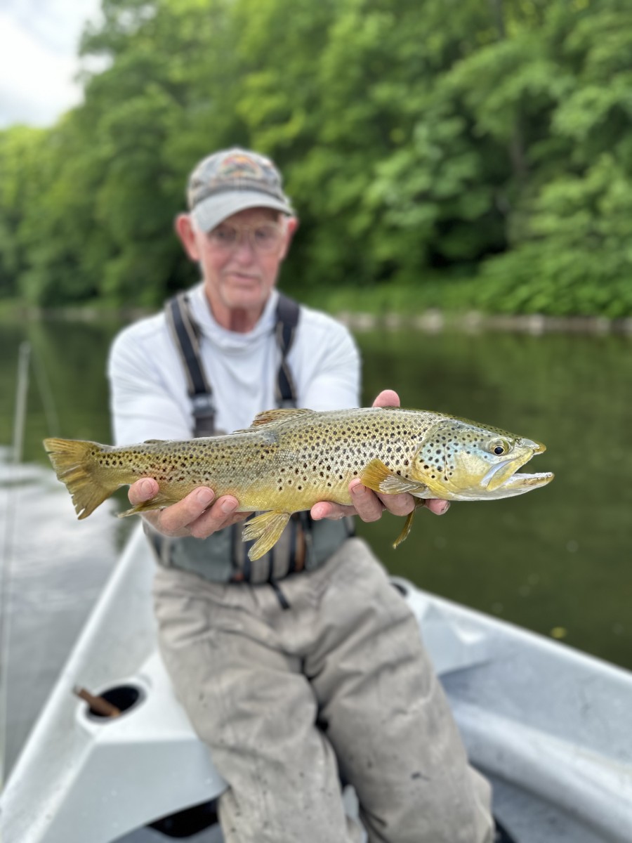 guided fly fishing upper delaware river brown trout