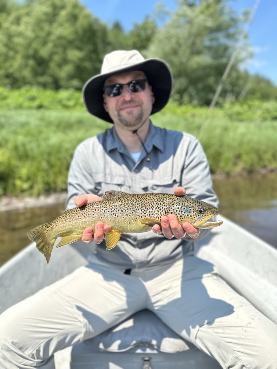 west branch delaware river fly fishing