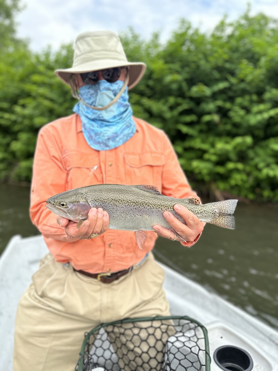 fly fishing west branch delaware river trout