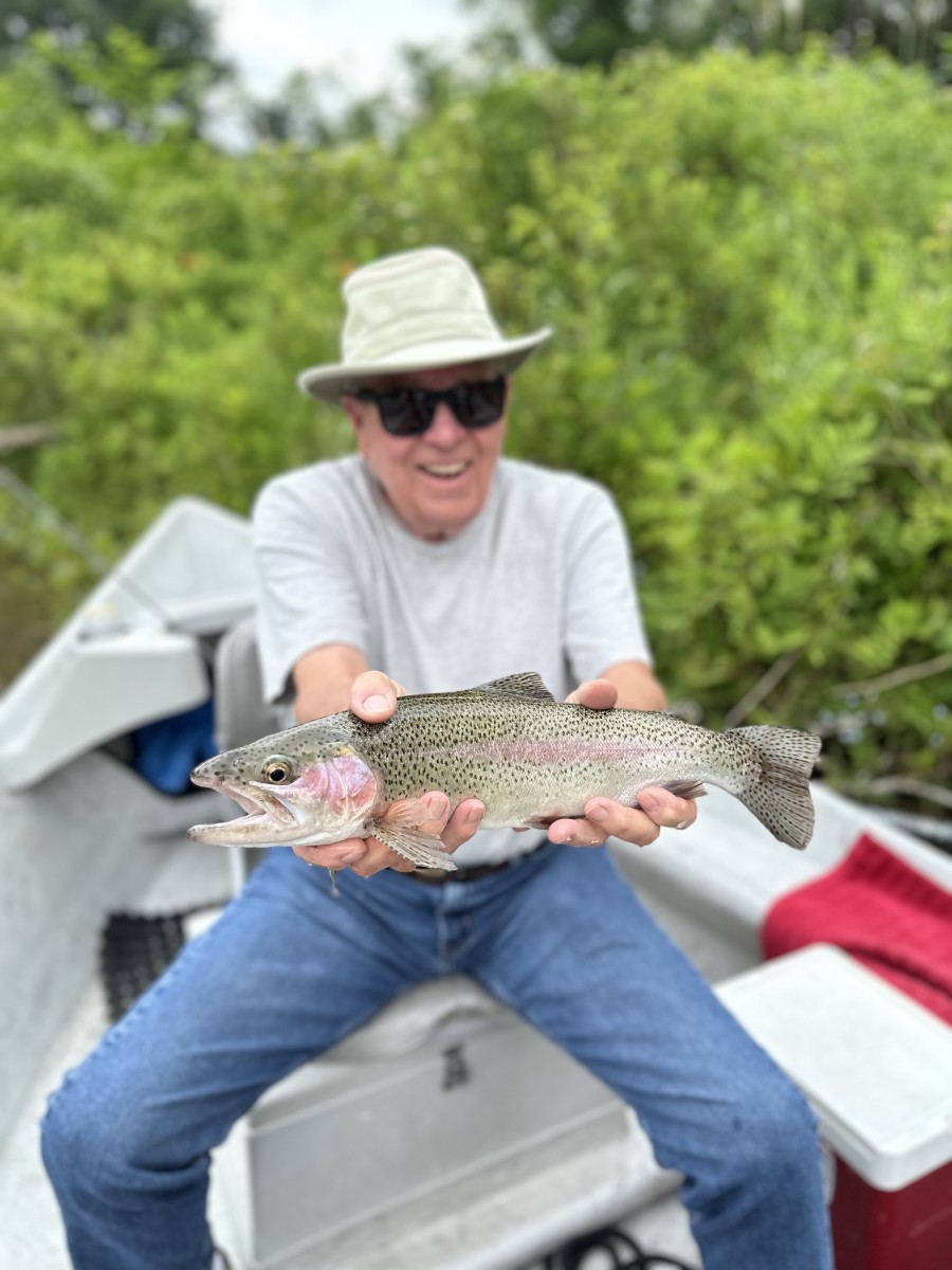 west branch delaware river wild trout