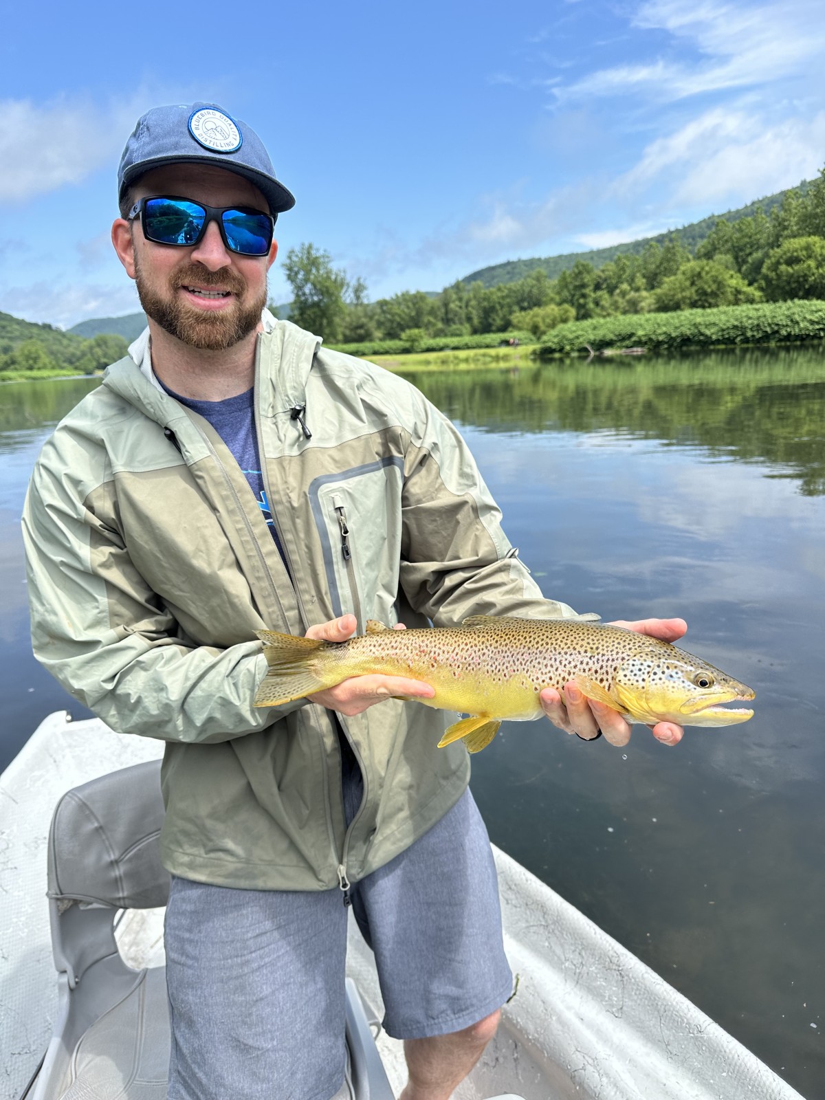 west branch delaware river brown trout