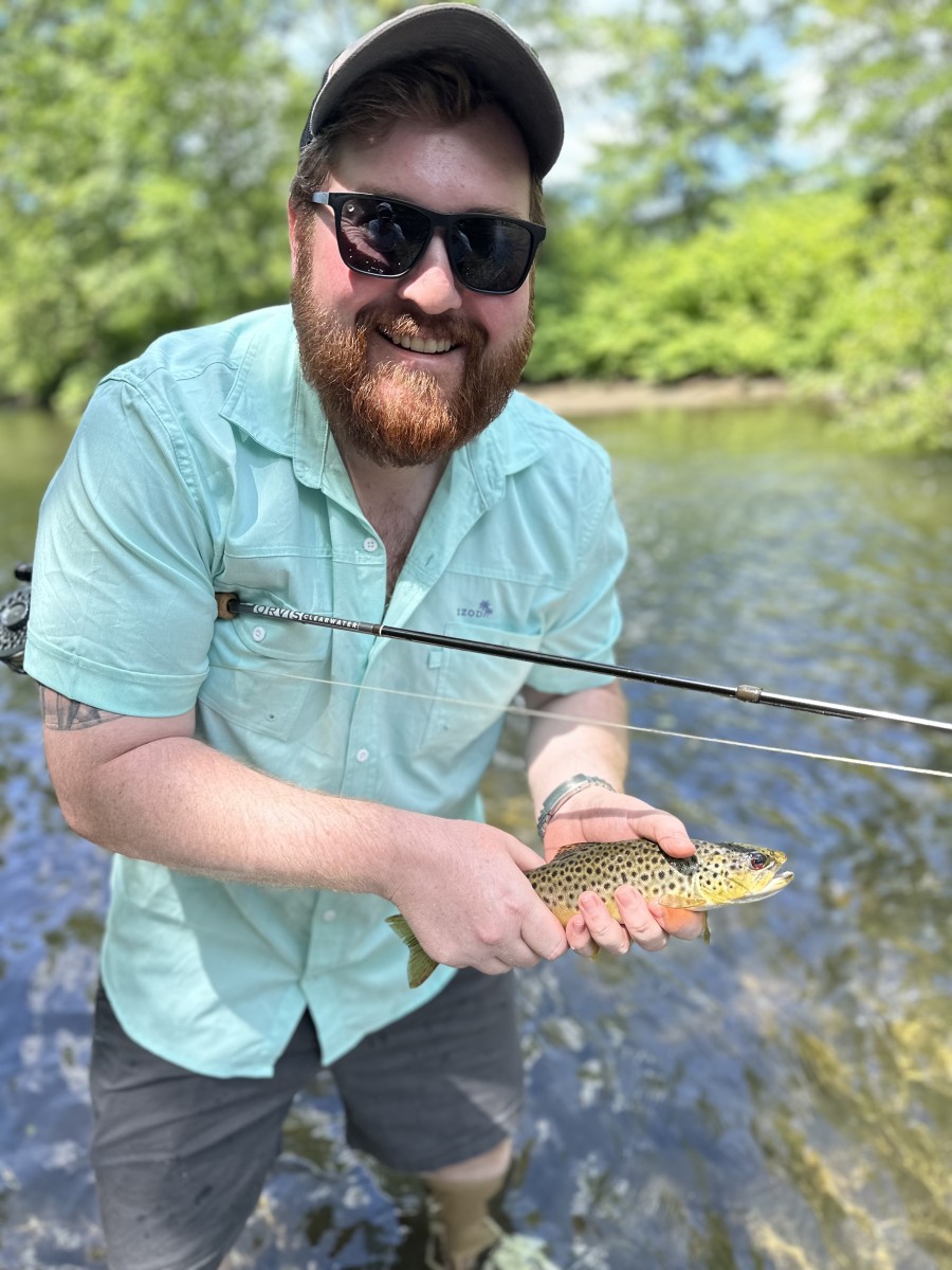 west branch delaware river brown trout