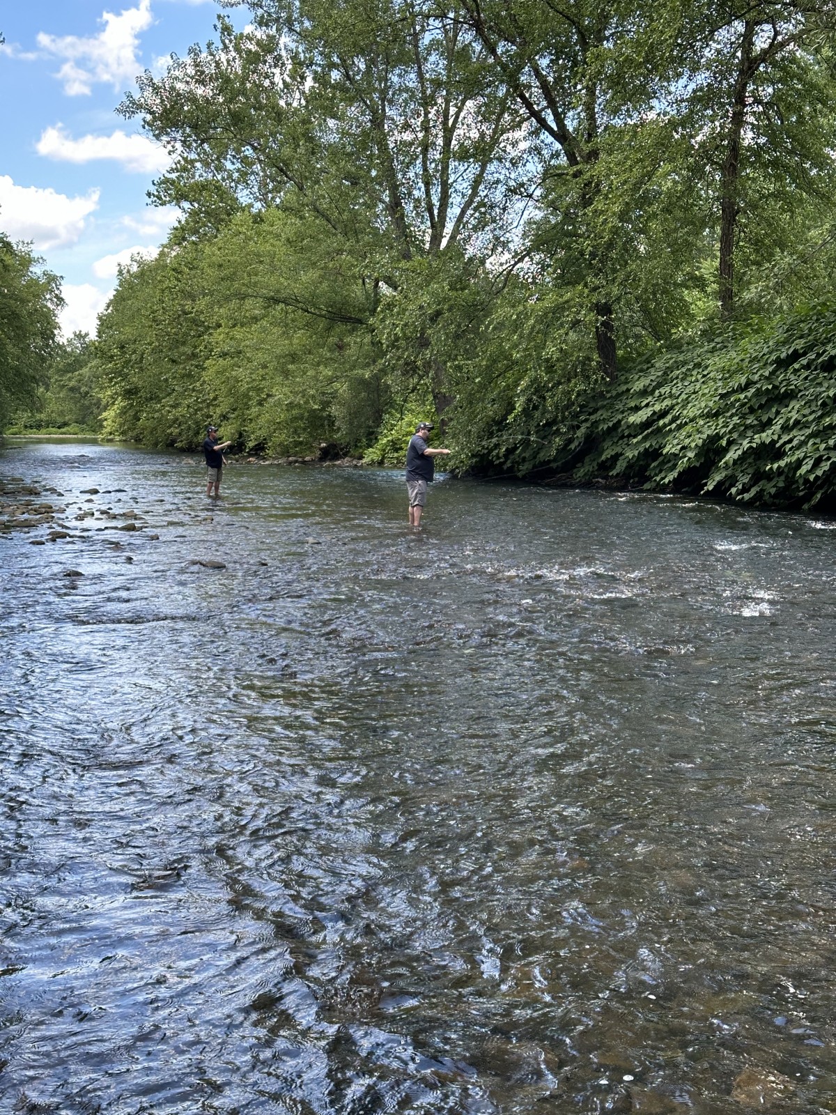 upper delaware river fly fishing