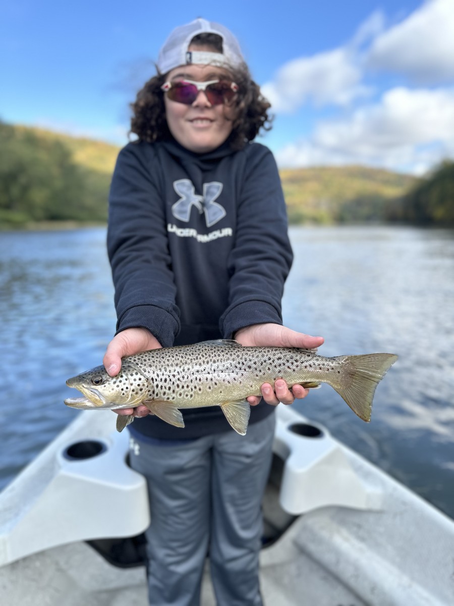 upper delaware river trout fishing